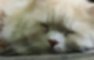 Kenapa Ya Kita Kena Gangguan Tidur Ketika Berada di Tempat Baru?