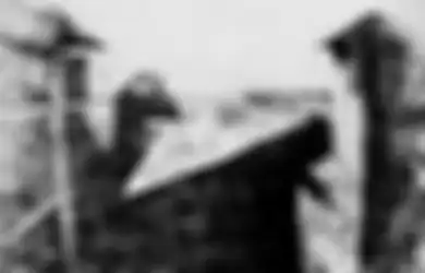 Seperti Ini Penampakan Foto Pertama dalam Sejarah yang Dihasilkan Kamera, 'Motretnya' Sampai 8 Jam!