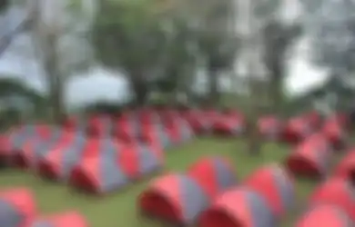 Wah, Ternyata Ini 5 Manfaat Camping di Usia Muda