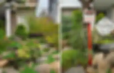 Enggak Hanya Album, Inspirasi Taman Ala Korea Bisa Kamu 