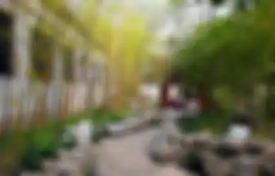 Bambu, Sang Pemecah Angin Menyejukkan Rumah