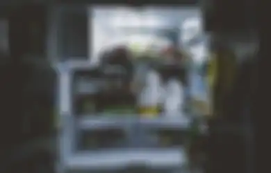 Ibu-ibu Jangan Lagi Pakai Pisau untuk Menyongkel Bunga Es, Begini Langkah Terbaik Agar Freezer Lebih Tahan Lama
