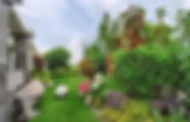Beginilah Sentuhan Zen dalam Sebuah Taman Tropis