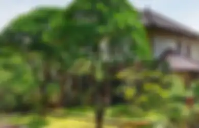 6 Penataan Taman Menurut Fengshui. Pagar Bambu Bagus Lho!