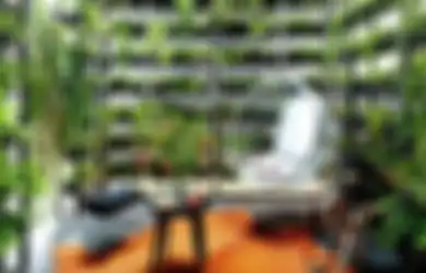 6 Inspirasi Taman Vertikal untuk Lahan Terbatas