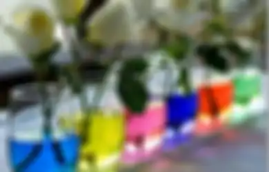 DIY: Warna-Warni untuk Desain Ruang Keluarga