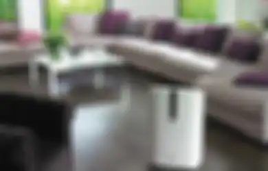Begini Cara Mengurangi Polusi Udara di Rumah