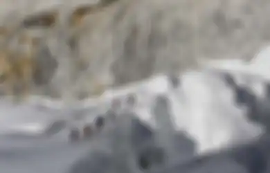 Inilah Rahasia Orang-orang Sherpa Bertahan Hidup di Himalaya yang Ganas