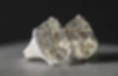Cincin Berlian Terbesar di Dunia Ini Punya 'Security Guard' Sendiri untuk Menjaganya