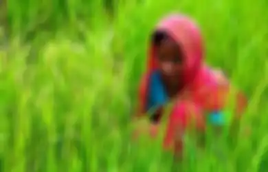 Obat Ajaib untuk Merasa Hidup Kembali dan Sehat