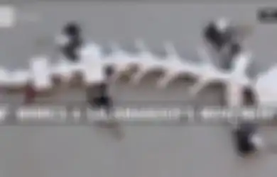 Robot Salamander Ini Digunakan untuk Memelajari Pergerakan Syaraf Tulang Belakang