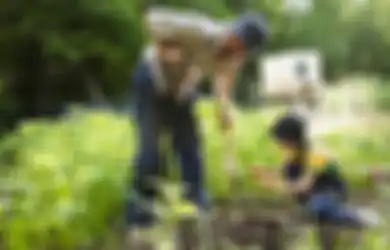 5 Tips Memulai Berkebun Sayur Sendiri