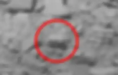 Pemburu UFO Klaim Temukan 'Bayi Beruang' di Mars