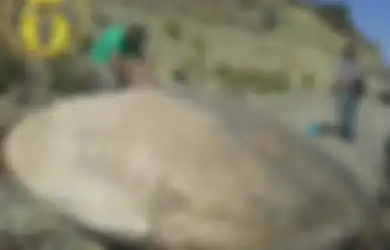 Pemburu UFO Mengklaim Menemukan Kepingan Pesawat Alien yang Jatuh di Bumi Jutaan Tahun yang Lalu