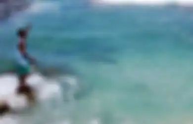 Pengen Jadi Penakluk Binatang Seperti Film Dolittle? Lokasi Wisata Pantai di Manokwari Ini Bisa Jadi Spot Belajar Atraksi Memanggil Ikan