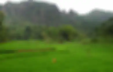 Bukit Nglanggeran:  Kutukan Dalang bagi Yang “Nglangger”
