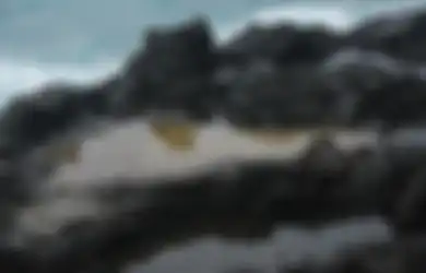 Tapak Tuan Tapa di Tapaktuan