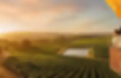 Kunjungi Tempat Ini Jika Kita Pencinta Wine