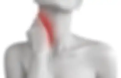 Enam Hal yang Harus Dihentikan Ketika Sakit Leher