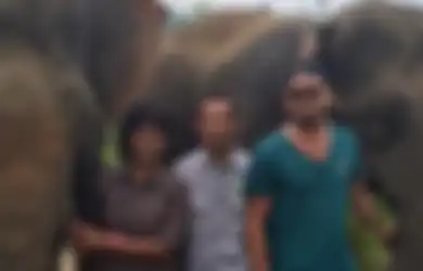 Leonardo DiCaprio Bermain Bersama Gajah di Indonesia Untuk Menyelamatkan Hewan-hewan yang Terancam Punah