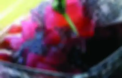 Resep Berbuka Puasa Hari Ini: Es Kelapa Muda Isi