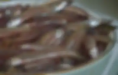 Wow, Ikan Teri Masuk Dalam Daftar 5 Makanan Pendongkrak Kecerdasan Otak