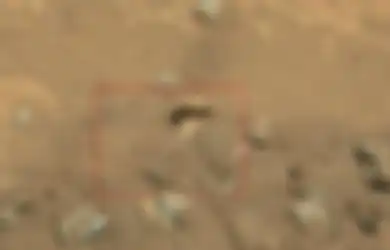 Benarkah Ada Tulang Manusia Di Mars?