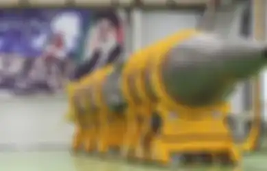 Iran Kirim Monyet ke Luar Angkasa untuk Kali Kedua