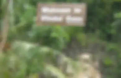 Tersundul Stalaktit Gua Pindul