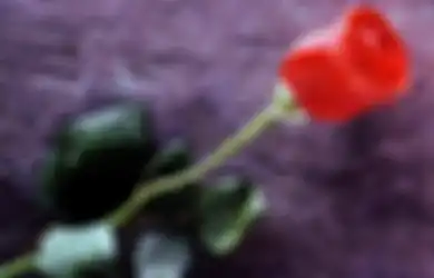 Cinta Sejati Dari Hati