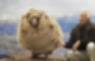 Shrek Si Domba Pemberontak, Enam Tahun Menghindari Pencukuran dengan Bersembunyi di Dalam Gua