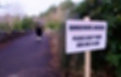 Misteri Jembatan Overtoun yang 'Angker', Tempat 600 Anjing Bunuh Diri