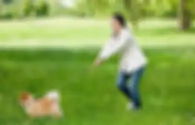 Bagaimana Merawat Anjing Peliharaan dengan Baik? (2)