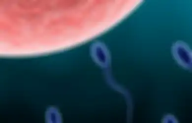 Cara Memperoleh Sperma Berkualitas