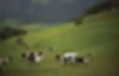 Si Manusia Kambing Itu Akhirnya Mendapatkan Hadiah Nobel Parodi 2016