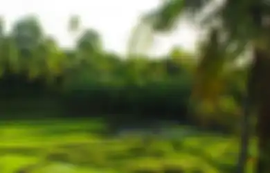 Tanah Tak Selalu Gersang, Wisata ke Kupang Memesona