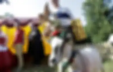 Berkenalan dengan Demyte, Kambing Paling Cantik se-Lituania yang Baru Saja Memenangkan Kontes Kecantikan