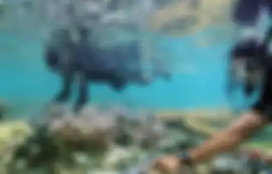 Mari Melihat Kepulauan Seribu Tidak sebagai Halaman Belakangnya Jakarta