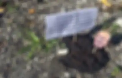 Wajah Donald Trump Digambar di Atasi Kotoran Anjing