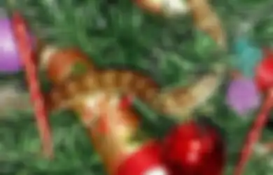 Ular Beracun Ini Bersembunyi Di Pohon Natal dan Tampak Seperti Dekorasi