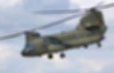 Mengapa Pembelian Heli Chinook oleh TNI Harus 'Sepaket' dengan Heli Apache?