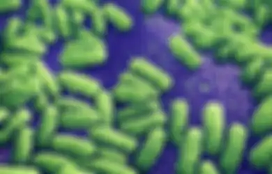 Bakteri yang Kebal Terhadap 26 Jenis Antibiotik Membunuh Seorang Perempuan AS