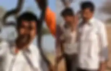 Tragis! Selfie dengan Ular Kobra, Wisatawan Ini Malah Digigit dan 1 Jam Kemudian Meninggal Dunia