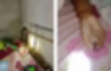 (Video) Tidur di Lantai, Bocah Ini Digigit Kobra Sepanjang Dua Meter, Nasibnya Berakhir Tragis