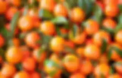 Manfaat Vitamin C pada Jeruk