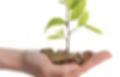 3 Syarat yang Wajib Dipenuhi Sebelum Mulai Berinvestasi