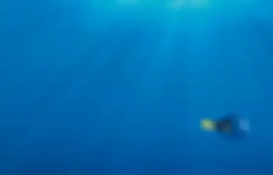 Kenali Hewan Laut Ini di Film Finding Dory: 5 Fakta Menarik dari Ikan Tang Biru Alias Dory