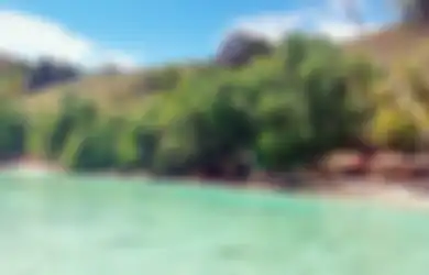 Surga Tersembunyi Pesisir Tanah Papua, Lokasi Wisata Pantai Harlem, Dinobatkan Sebagai Pantai Terbersih di Indonesia
