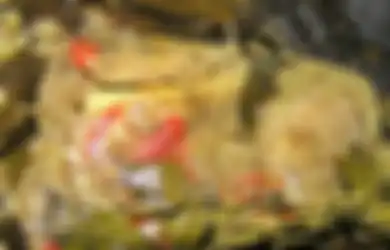 Pepes H. Dirja, Murah dan Meriah, tapi Juga Wah!