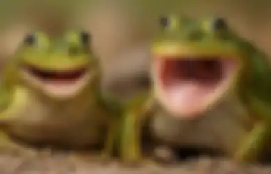 Kisah Katak dan Istrinya